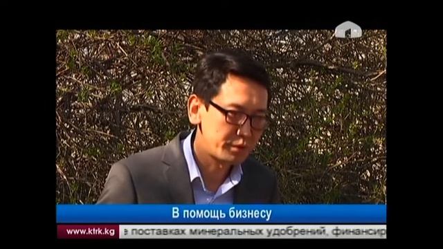 В экономике появились новые необычные стартапы смотреть онлайн