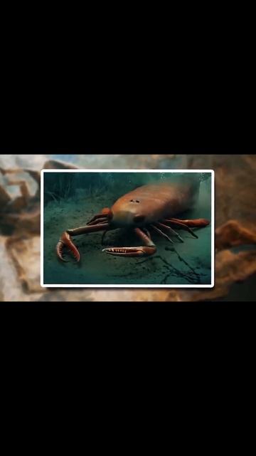 Огромный Доисторический РАКОСКОРПИОН #shorts смотреть онлайн