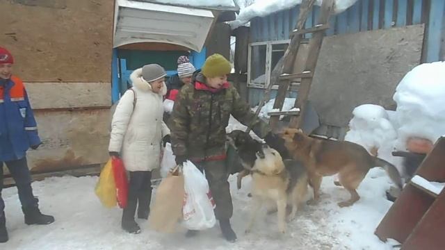 Встреча любимых волонтеров) смотреть онлайн