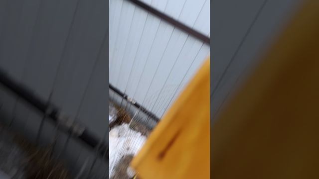 Пчелы выбрали 3 кг меда за сутки в январе