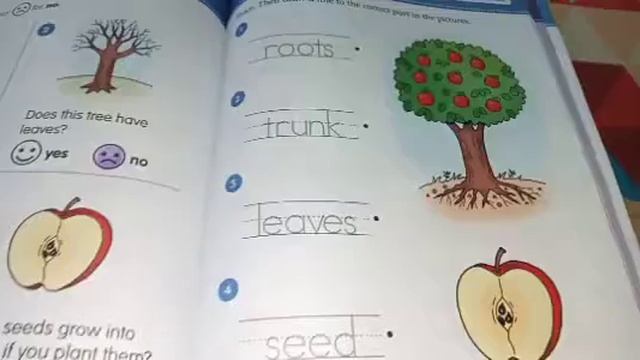 Class-K.G. Life science. Smart Start Stem book page no. 66,67 and 68. (Group 1) смотреть онлайн