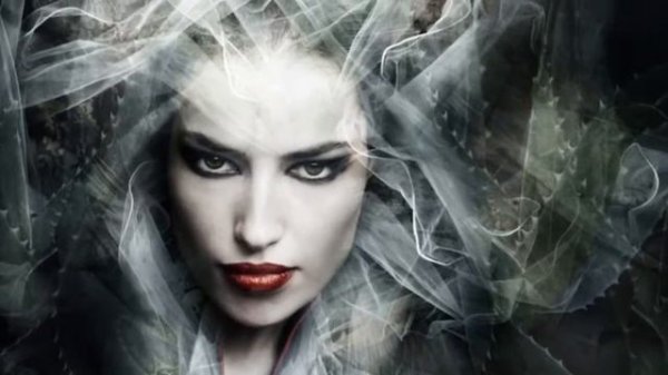 The Lady Raven A Novel By R.L.Henry