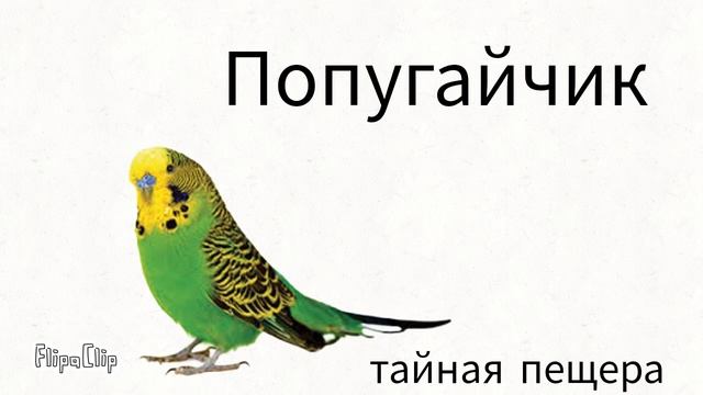 Мои поющие монстры–Попугайчик | тайная пещера смотреть онлайн