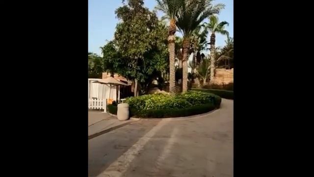 ОАЭ. Дубай. Идем на пляж/UAE. Dubai. We go to the beach. смотреть онлайн