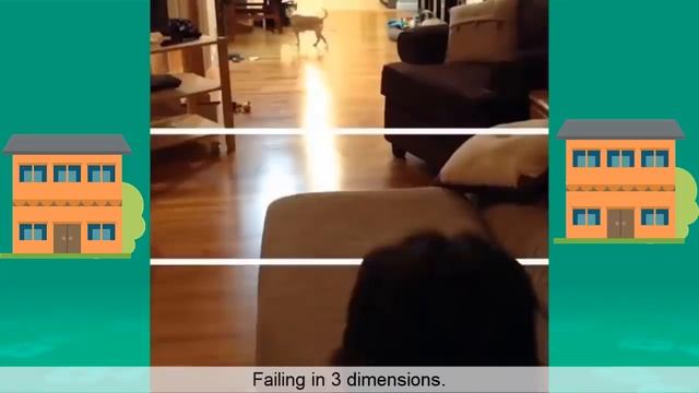 Try Not To Laugh or Grin Funny Dwarf Mamba Vines 2019 смотреть онлайн