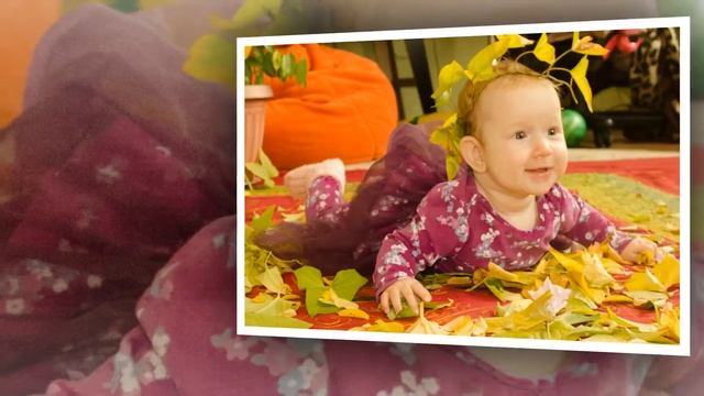 Mon Lapin комплект обзор