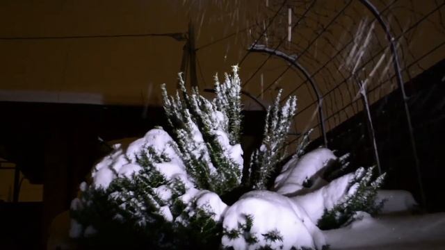 Эксперименты с камерами смотреть онлайн