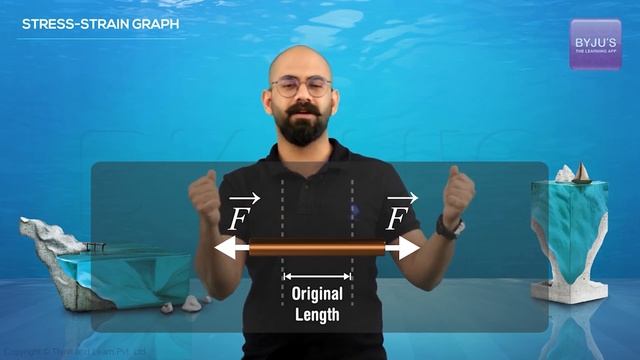 Hooke's Law: Mechanical Properties Of Solids | Class 11 Physics Chapter 9 | NEET 2022 Exam Prep