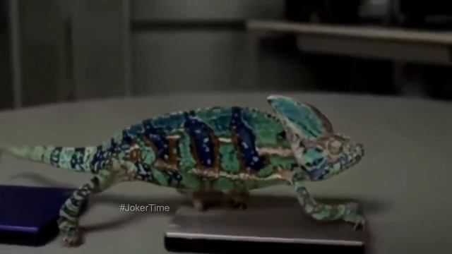 NEW YEAR COUB 'S - BEST CUBE GIRLS #52 | BEST COUB GIRLS Edition