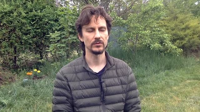 14 день медитации по Mindfullnes. Что будет дальше? смотреть онлайн