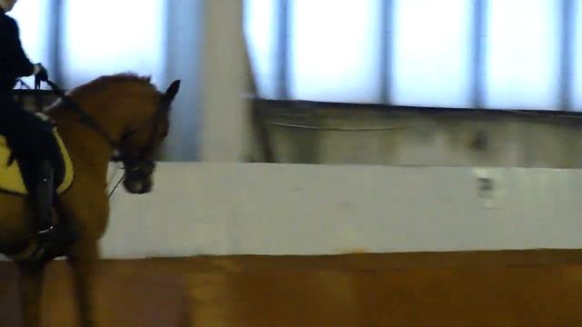 M4H00609.MP4 смотреть онлайн