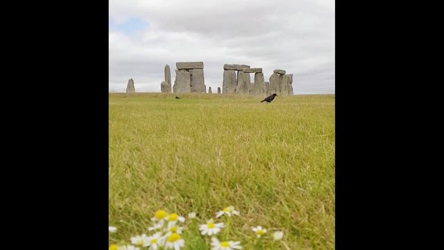 Stonehenge, лето 2020 смотреть онлайн