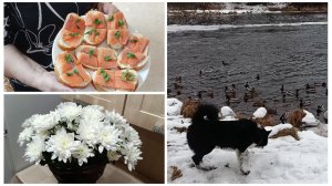 "Жизнь на пенсии".. Всех накормила и отправилась гулять.