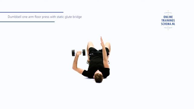 Dumbbell one arm floor press with static glute bridge - Dumbbell - Onlinetrainingsschema.nl смотреть онлайн