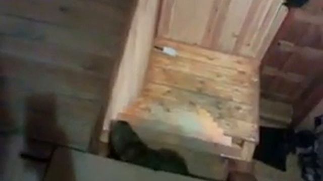 Хорек смотреть онлайн