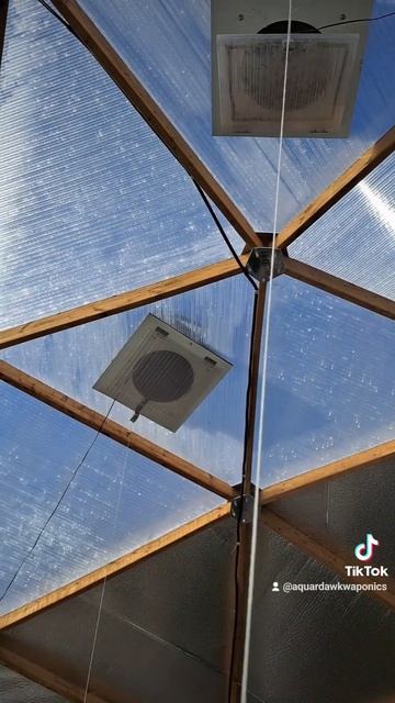March has been weird. Warm days but nights well below freezing. #winter #greenhouse #offgrid смотреть онлайн