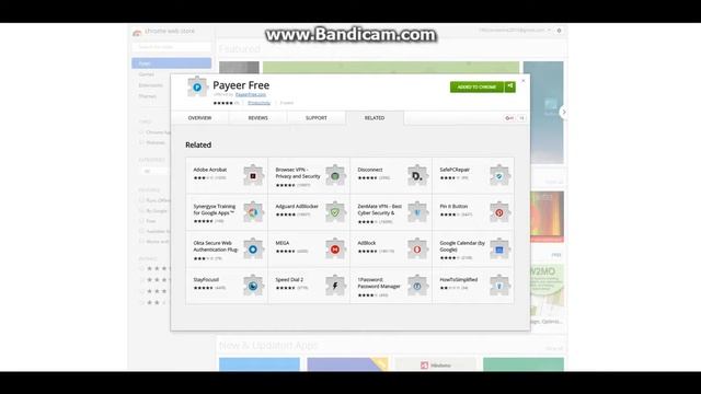 Payeer Free До 1000 рублей бесплатная раздача каждый час смотреть онлайн