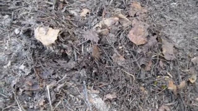 Коп в Лагере ч 2 смотреть онлайн