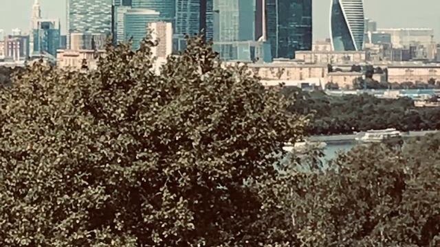 Поездка в Москву