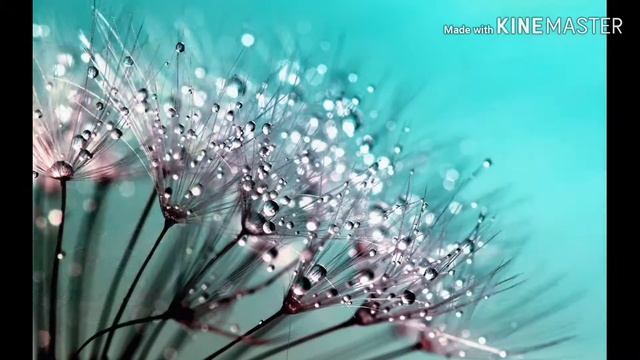 6 декабря 2019 г.