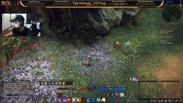 Tera online New Character смотреть онлайн