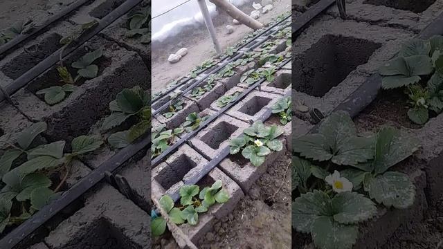 14 декабря 2022 г.