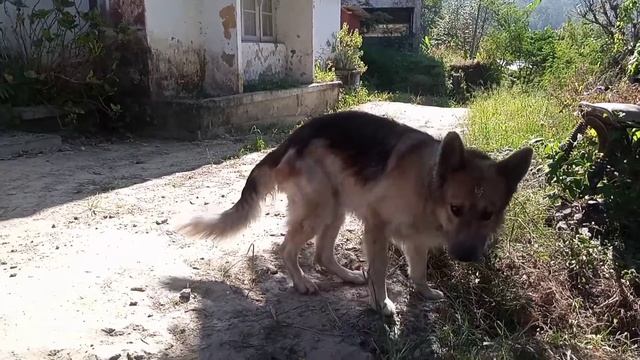 kambar 27 gala 28 смотреть онлайн
