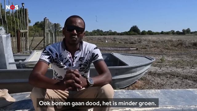 Hele kuddes nijlpaarden zitten vast in de modder смотреть онлайн