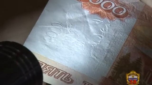 В Москве полицейские задержали подозреваемого в сбыте фальшивых денежных купюр смотреть онлайн