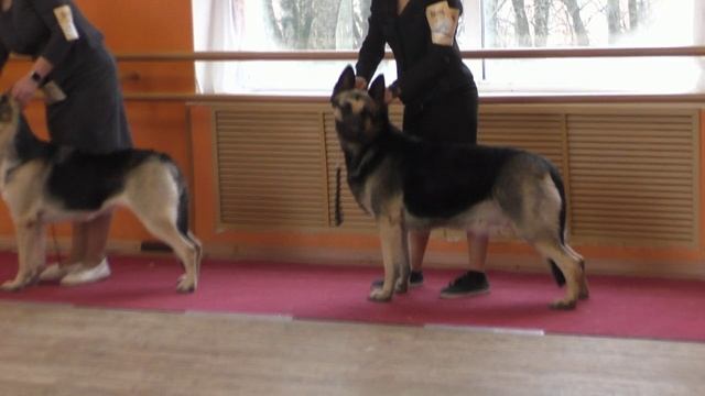 Класс чемпионов