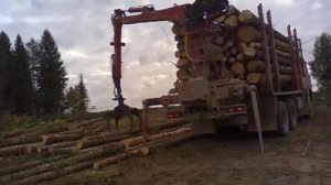 Погрузка леса камазом с фишкой