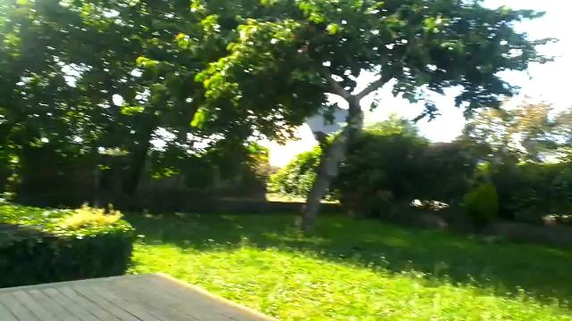 Sur les toit de ma maison. + présentation du jardin