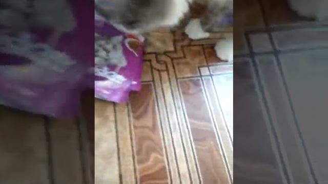 Стёпина покупная еда часть 2 смотреть онлайн