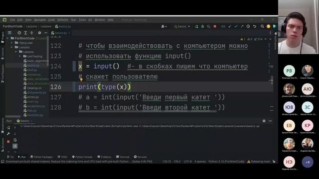 Функция INPUT в Python ❕ смотреть онлайн