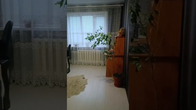 продаётся недвижимость смотреть онлайн