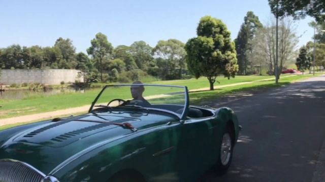 Austin Healey 100/4 1955