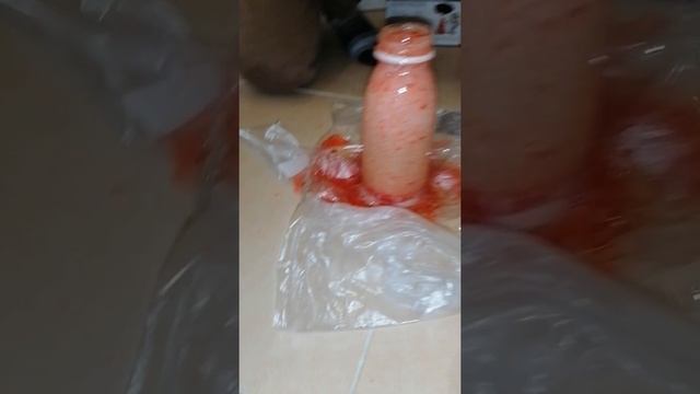 Эксперимент 2 часть🧪🧬🧫🔬