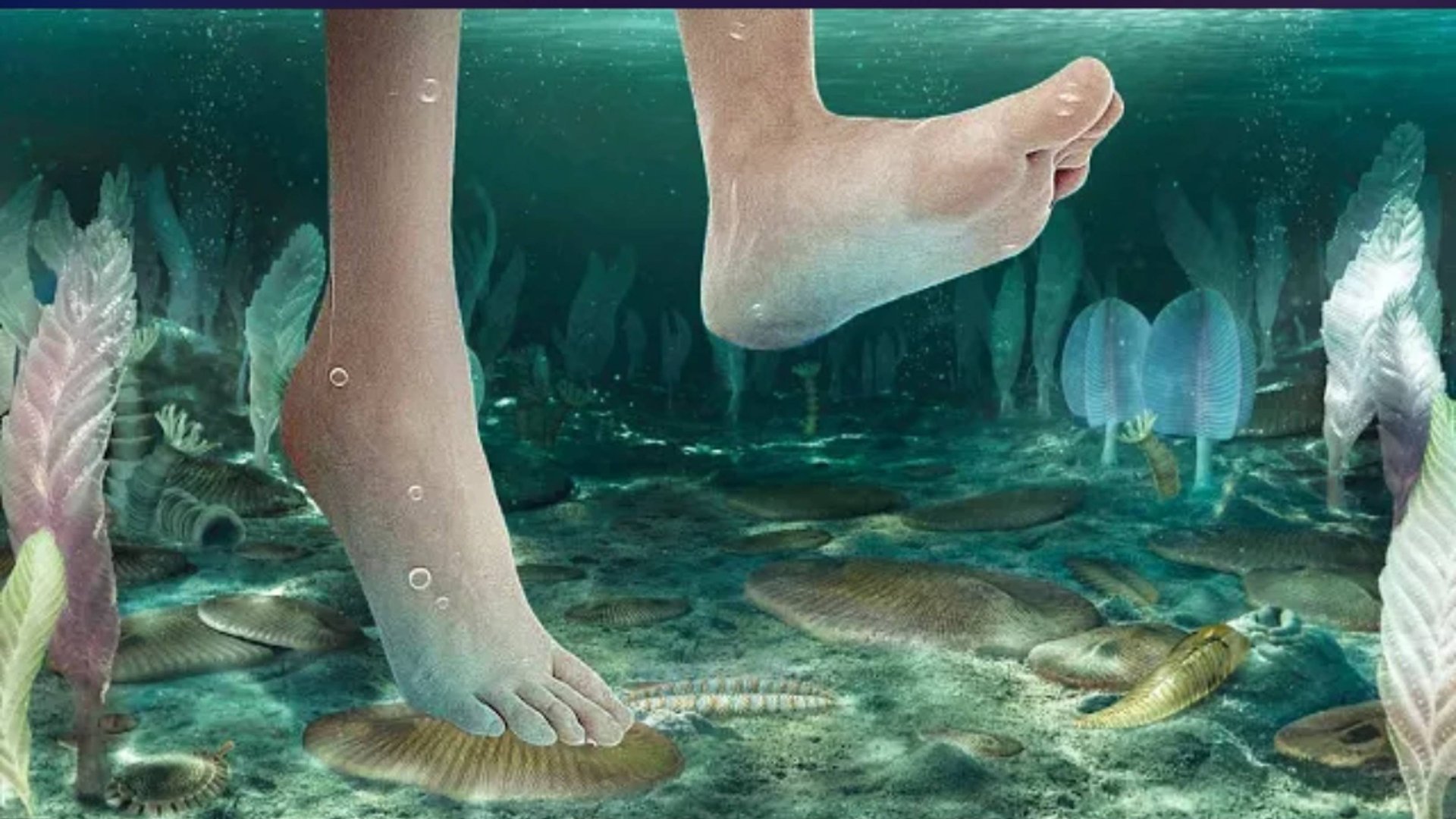 Почему ты не выживешь в эдиакарском периоде смотреть онлайн