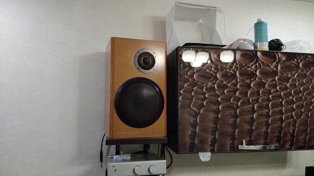 Technics SL-1200 MK5 with Shure WhiteLabel working video смотреть онлайн