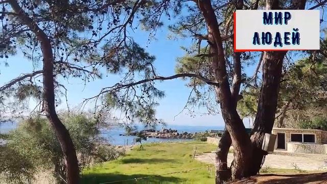 Свекровь наказала бедную невестку, за то, что та забрала её сыночка. А когда пришло время отвечать смотреть онлайн