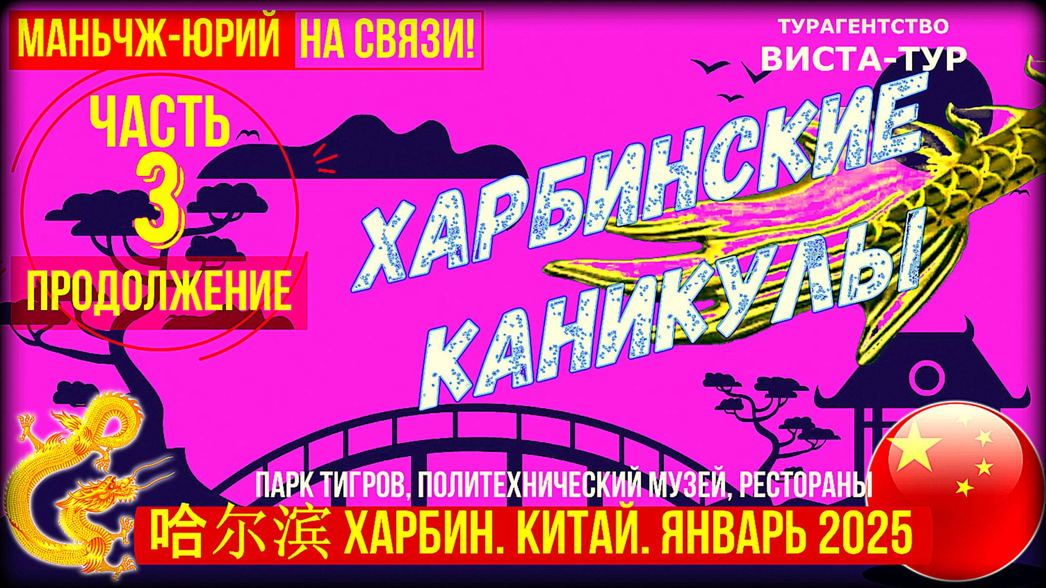 Харбин 哈尔滨январь 2025. Китайские каникулы. Часть 3. Парк тигров, технический музей, рестораны смотреть онлайн