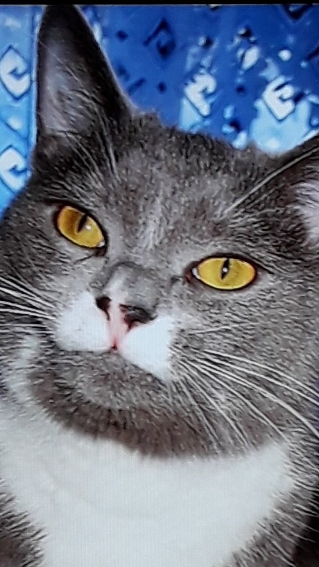 Косяк ест рыбку смотреть онлайн