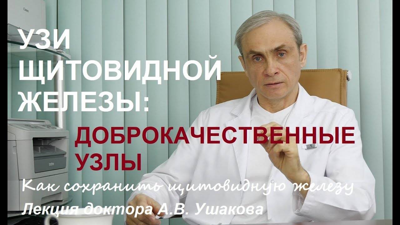 УЗИ Щитовидной железы: Доброкачественные узлы щитовидки (4 варианта узлов). Лекция. Доктор Ушаков смотреть онлайн
