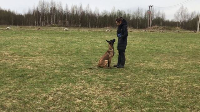 Анна Дьячек и Резвый фом Грюнен Штадт 7 месяцев Тренинг смотреть онлайн