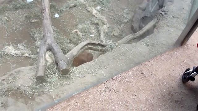 Joshua Weber und Papa Frankfurter Zoo 2012