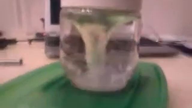 магнитная мешалка смотреть онлайн