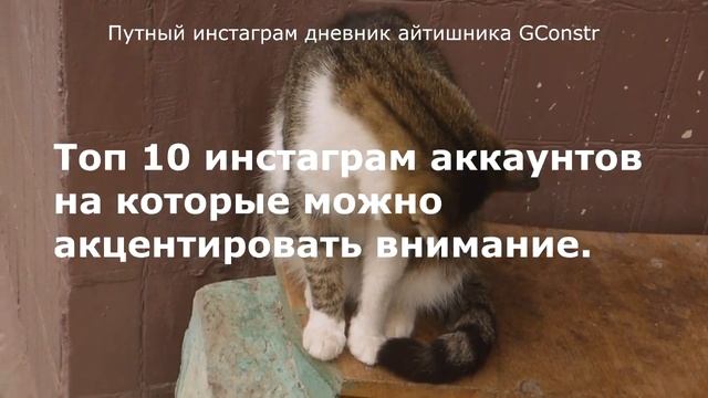 Путный инстаграм дневник айтишника GConstr смотреть онлайн