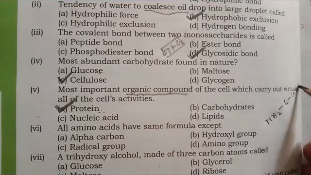 Biological molecules exercise solved MCQ's chapter 01 new Sindh text book Biology XI. смотреть онлайн