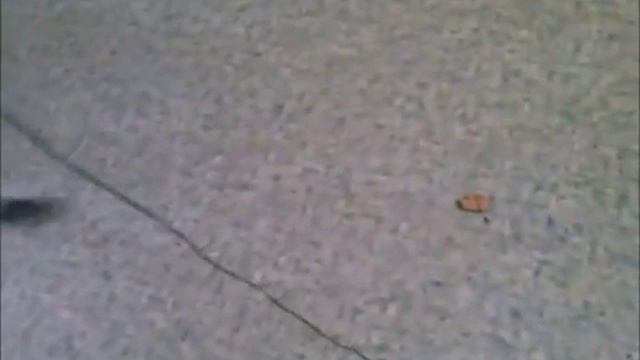 мышь смотреть онлайн