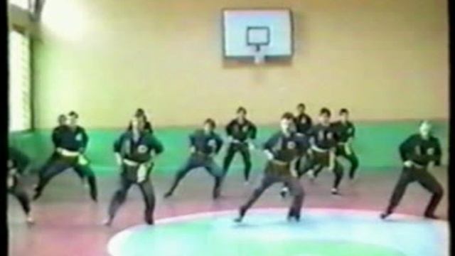 1991 г. Минск. Тренировка стоек - Тан фап